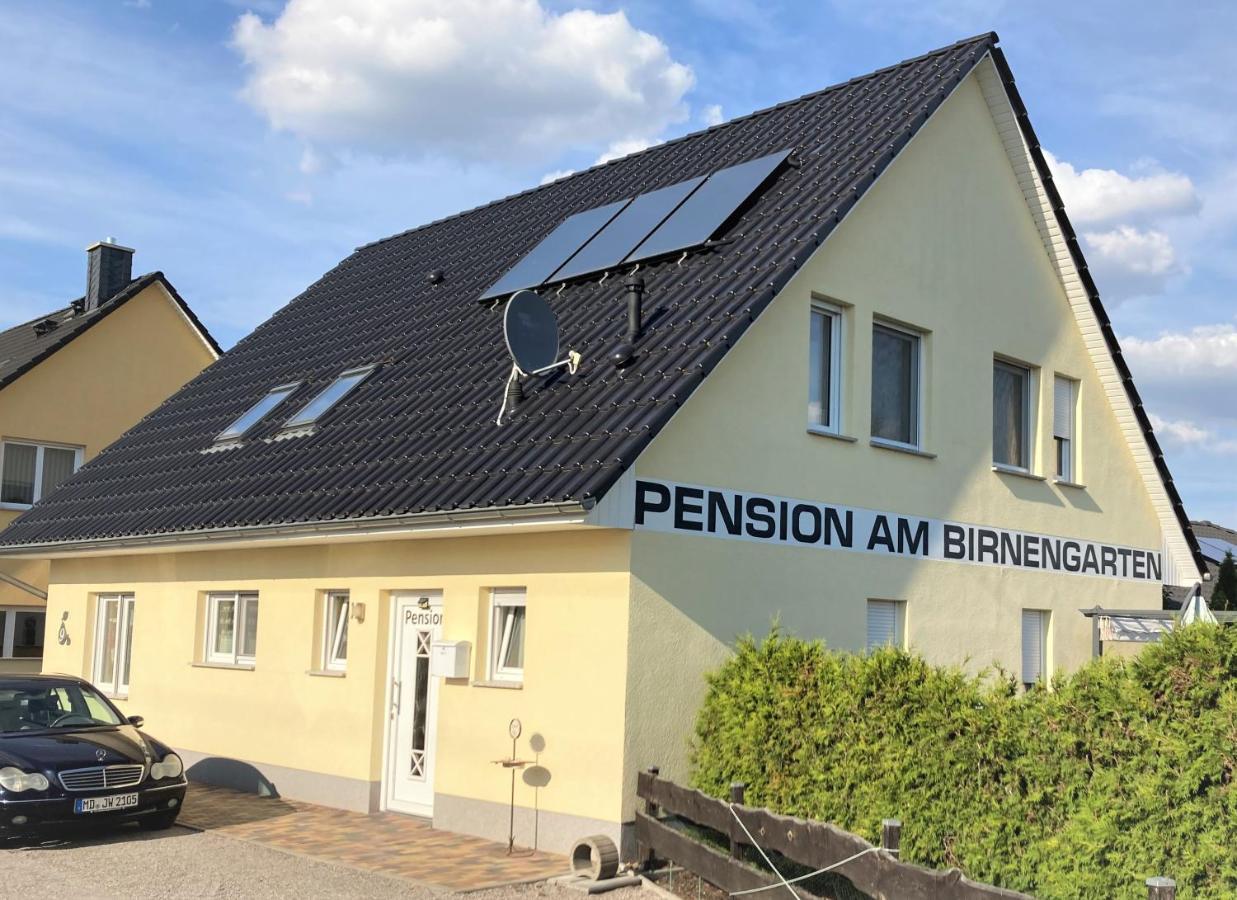 Haus Hotel & Pension Am Birnengarten 马格德堡 外观 照片